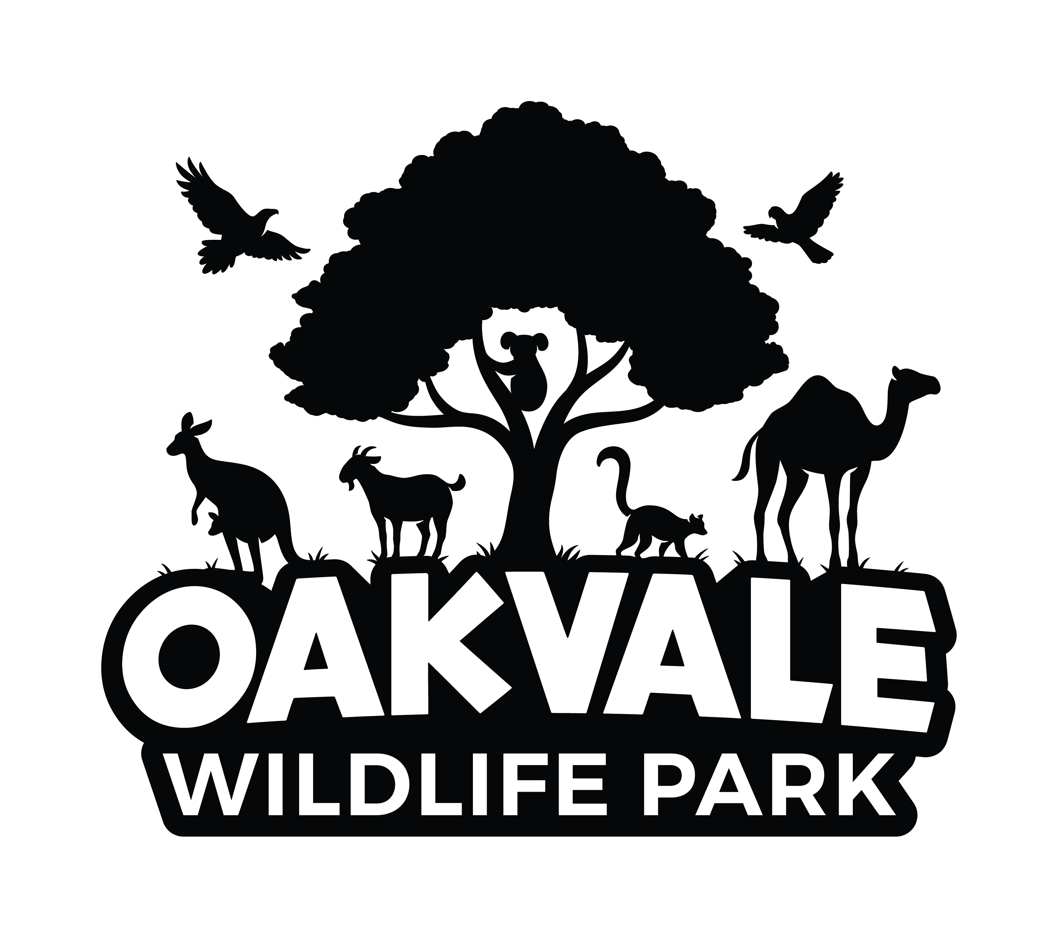 The Ultimate Aussie Animal Package - B2B Booking - Visit Oakvale Wildlife Park & Irukandji Shark & Ray Encounters with ONE PASS