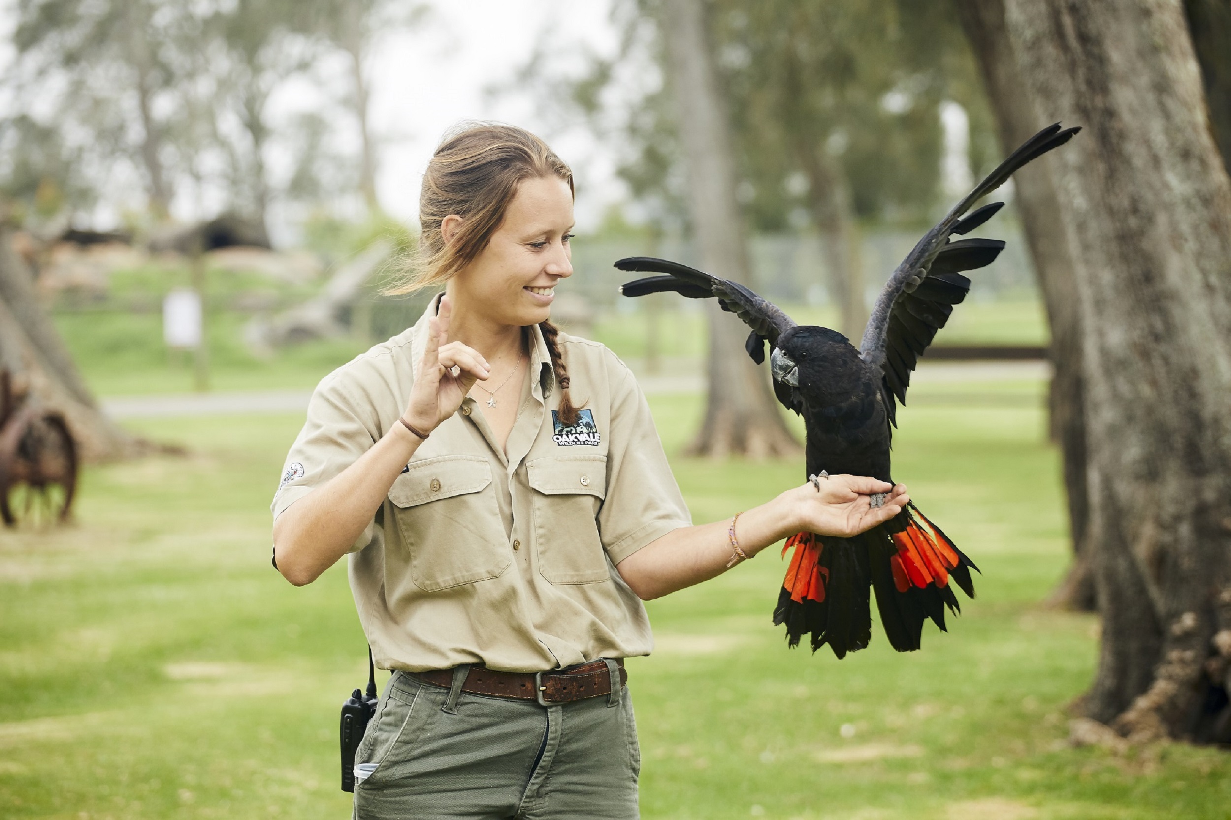 The Ultimate Aussie Animal Package - B2B Booking - Visit Oakvale Wildlife Park & Irukandji Shark & Ray Encounters with ONE PASS