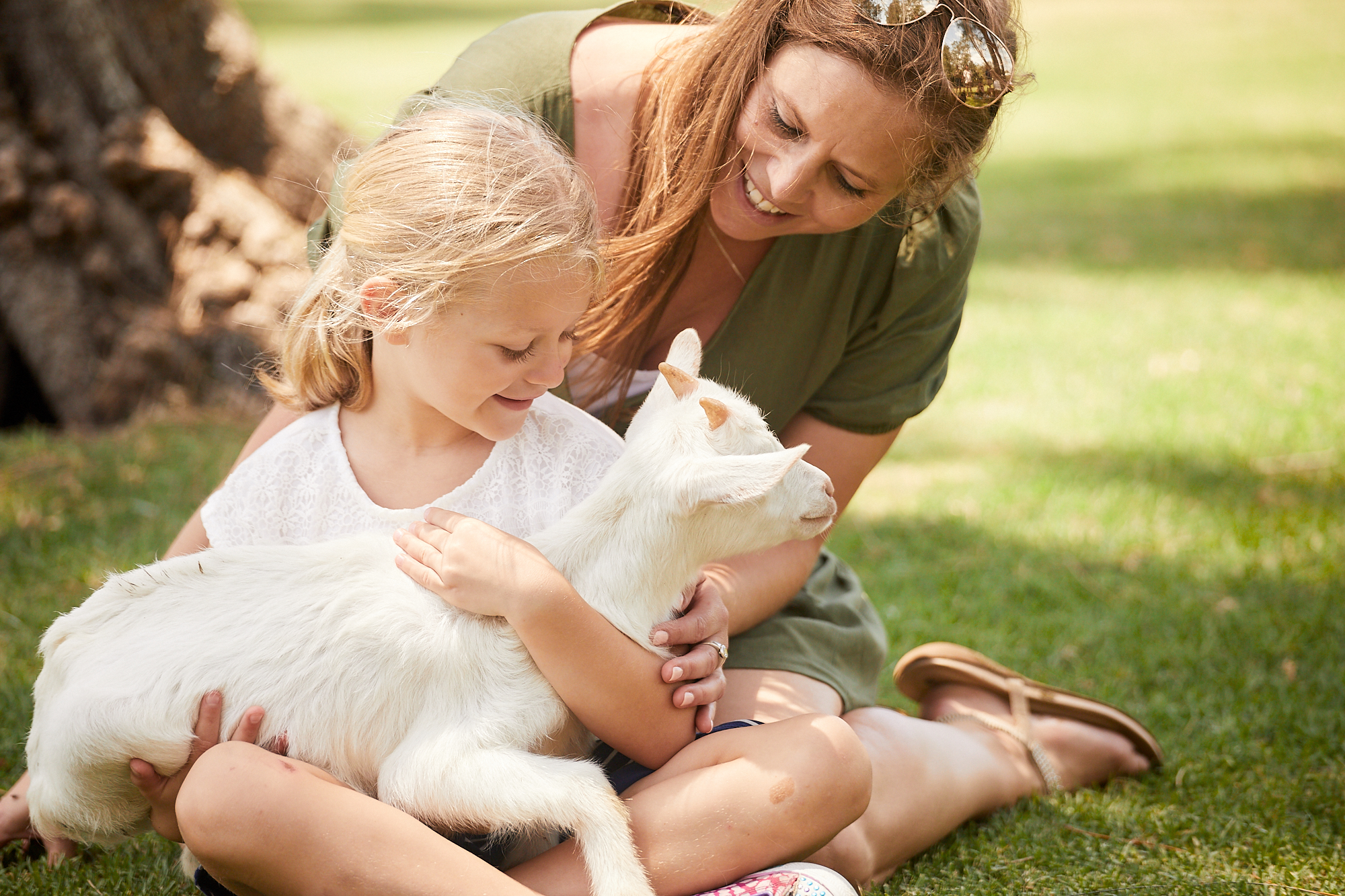 The Ultimate Aussie Animal Package - B2B Booking - Visit Oakvale Wildlife Park & Irukandji Shark & Ray Encounters with ONE PASS