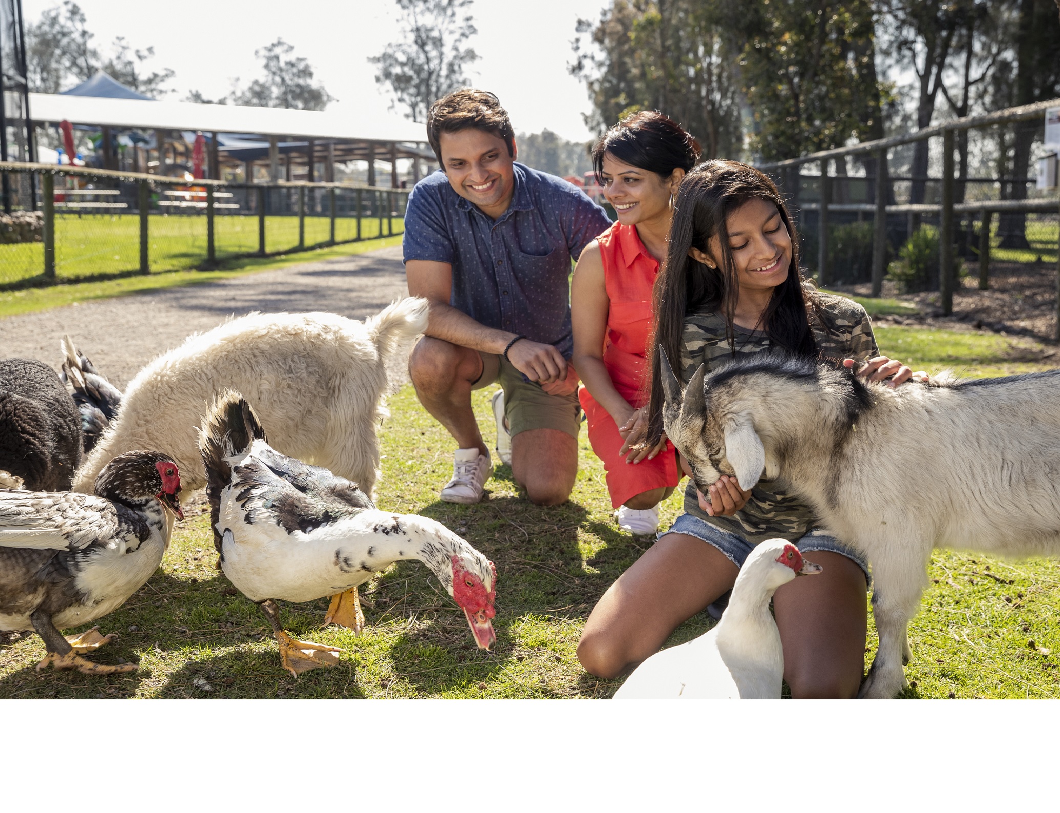 The Ultimate Aussie Animal Package - B2B Booking - Visit Oakvale Wildlife Park & Irukandji Shark & Ray Encounters with ONE PASS