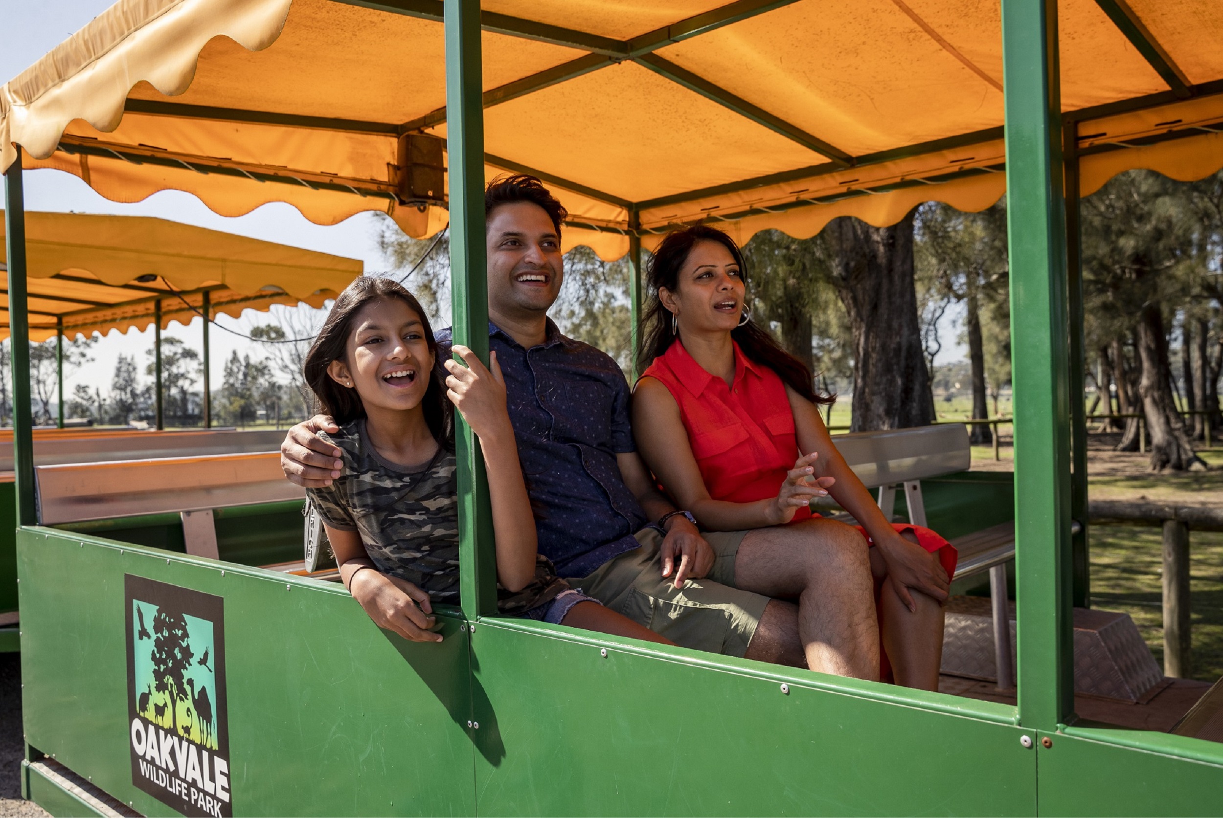 The Ultimate Aussie Animal Package - B2B Booking - Visit Oakvale Wildlife Park & Irukandji Shark & Ray Encounters with ONE PASS