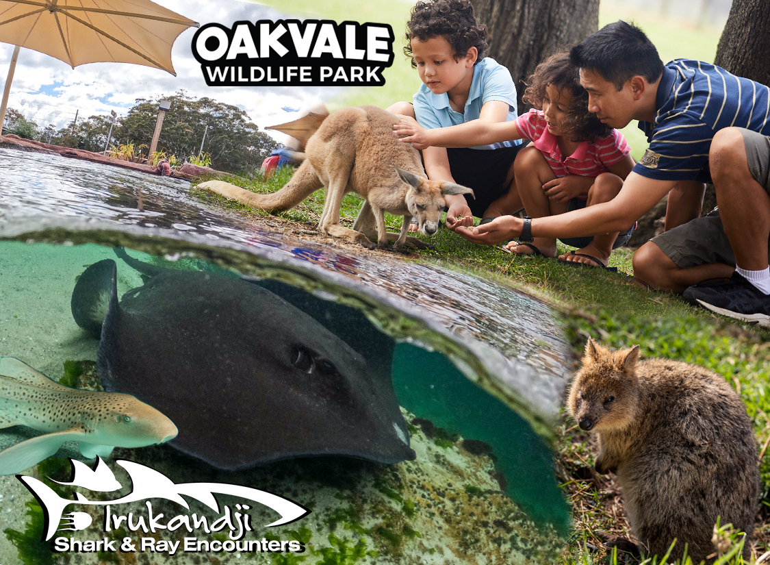 THE ULTIMATE AUSSIE ANIMAL PACKAGE - Inbound Nett Rates - Visit Oakvale Wildlife Park & Irukandji Shark & Ray Encounters with ONE PASS