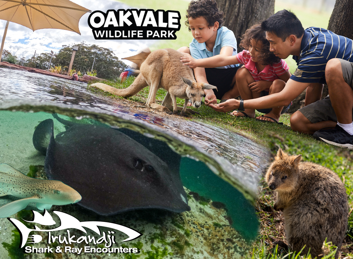 The Ultimate Aussie Animal Package - B2B Booking - Visit Oakvale Wildlife Park & Irukandji Shark & Ray Encounters with ONE PASS
