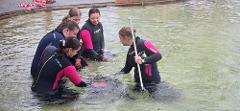GIFT CARD: Turtle Conservation Experience