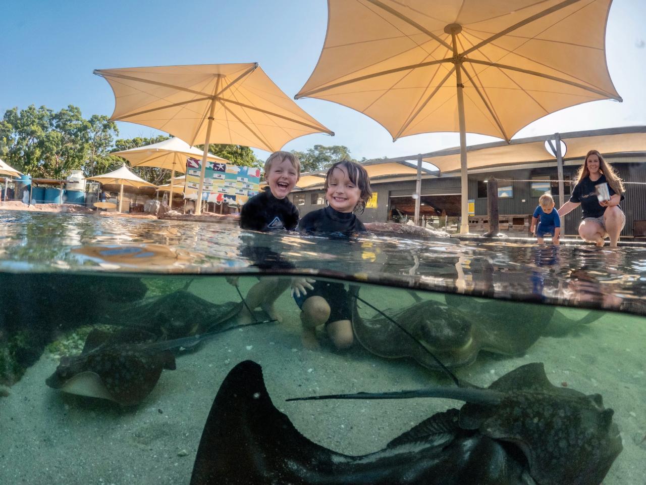 Entry Ticket for Irukandji Shark & Ray Encounters located in Anna Bay, Port Stephens