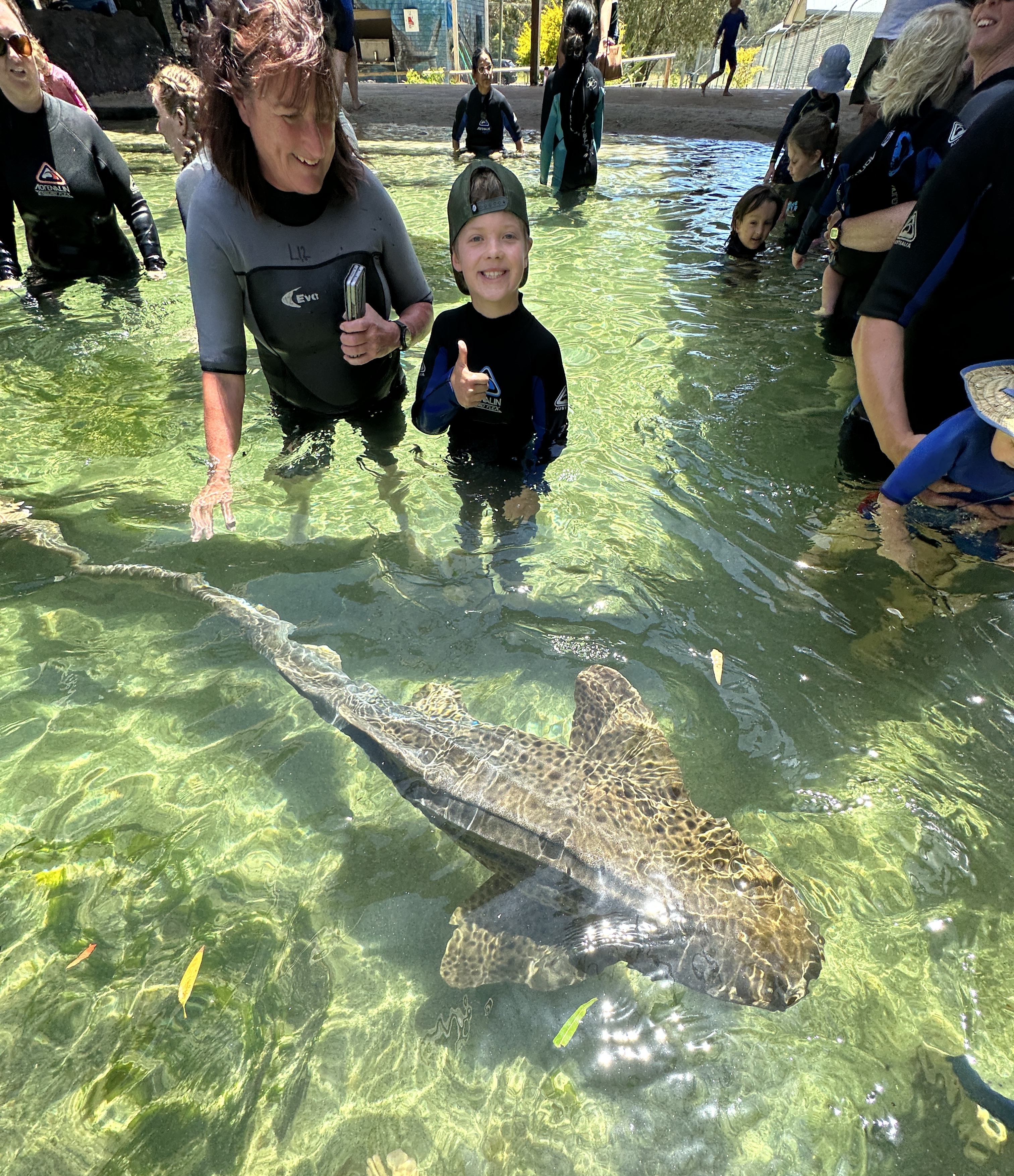 IRUKANDJI ENTRY PASS ~Includes stepping in the lagoon shallows, shark food + optional wetsuit