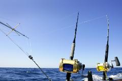 Full Day Fishing Charter Private