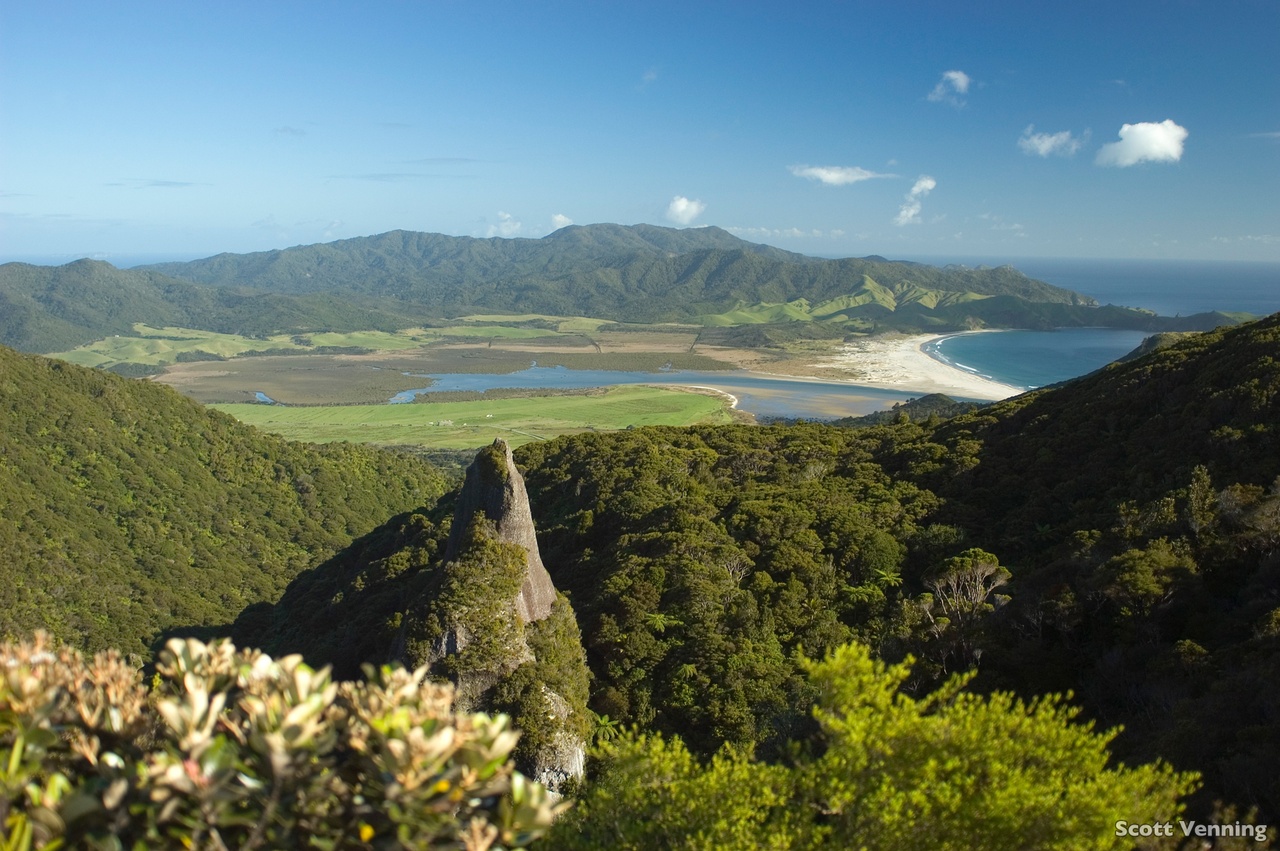 4 Day Great Barrier Island Escape - Lodge Based