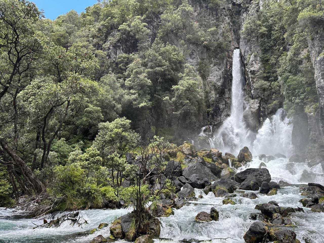 4 Day Rotorua Explorer - Lodge Based