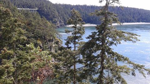 Whidbey Island & Deception Pass Tour