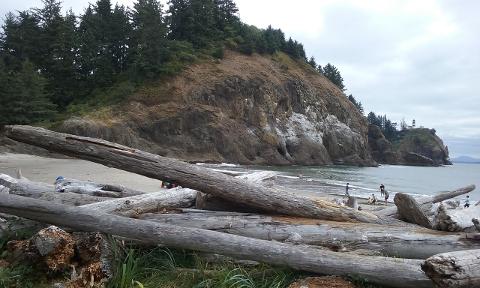 Long Beach Peninsula, Washington