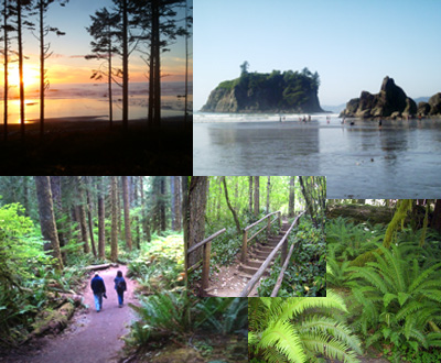 Olympic National Park Overnight Tour