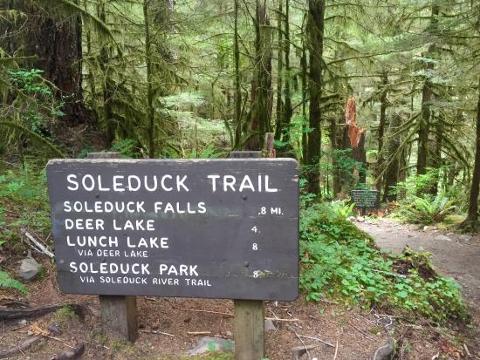Sol Duc Hot Springs overnight tour