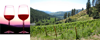 Vineyards, Stonehenge, and Northwest Secrets Tour