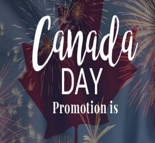 SPECIAL CANADA DAY: $99 - 1 HOUR FLIGHT SIMULATION + T-SHIRT