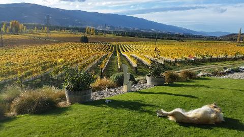 Winemakers Reserve