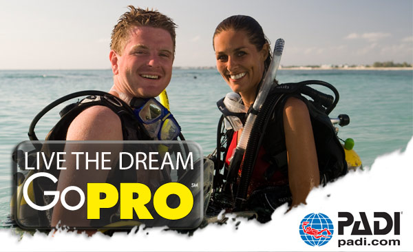 PADI Divemaster Course | Gold Coast