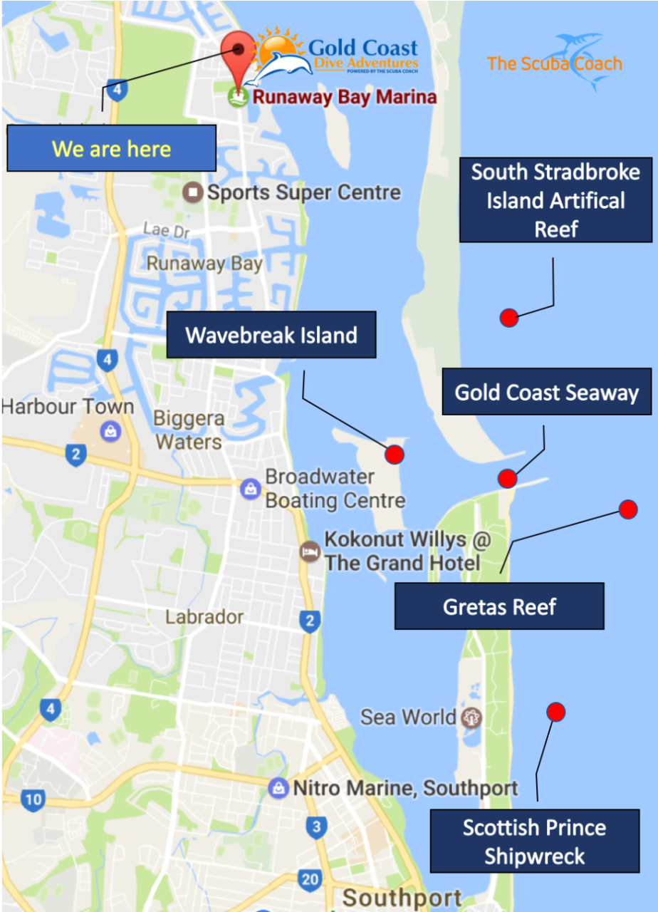 Night Dive the Gold Coast Seaway Gold Coast Dive Adventures Reservations