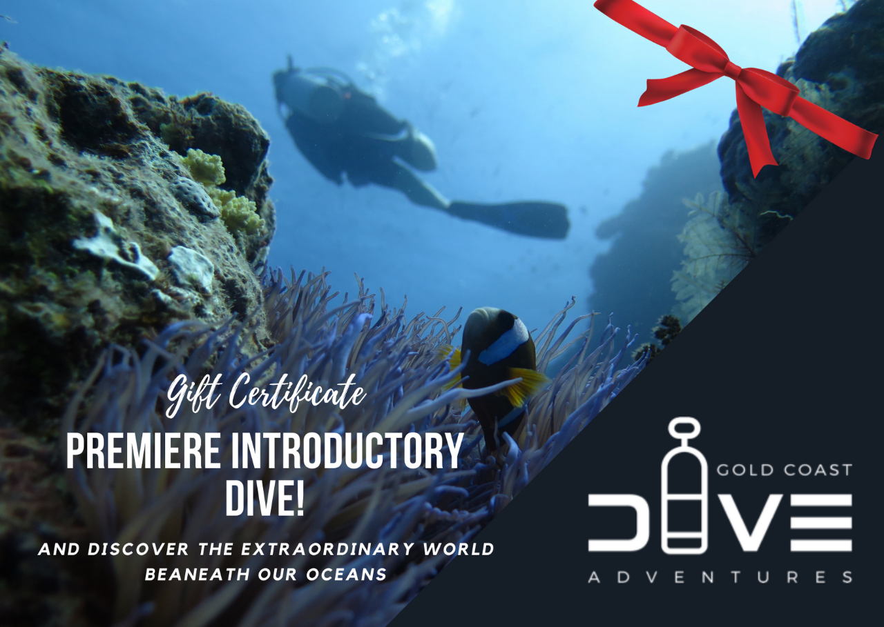 Gift Card for Premiere Introductory Dive