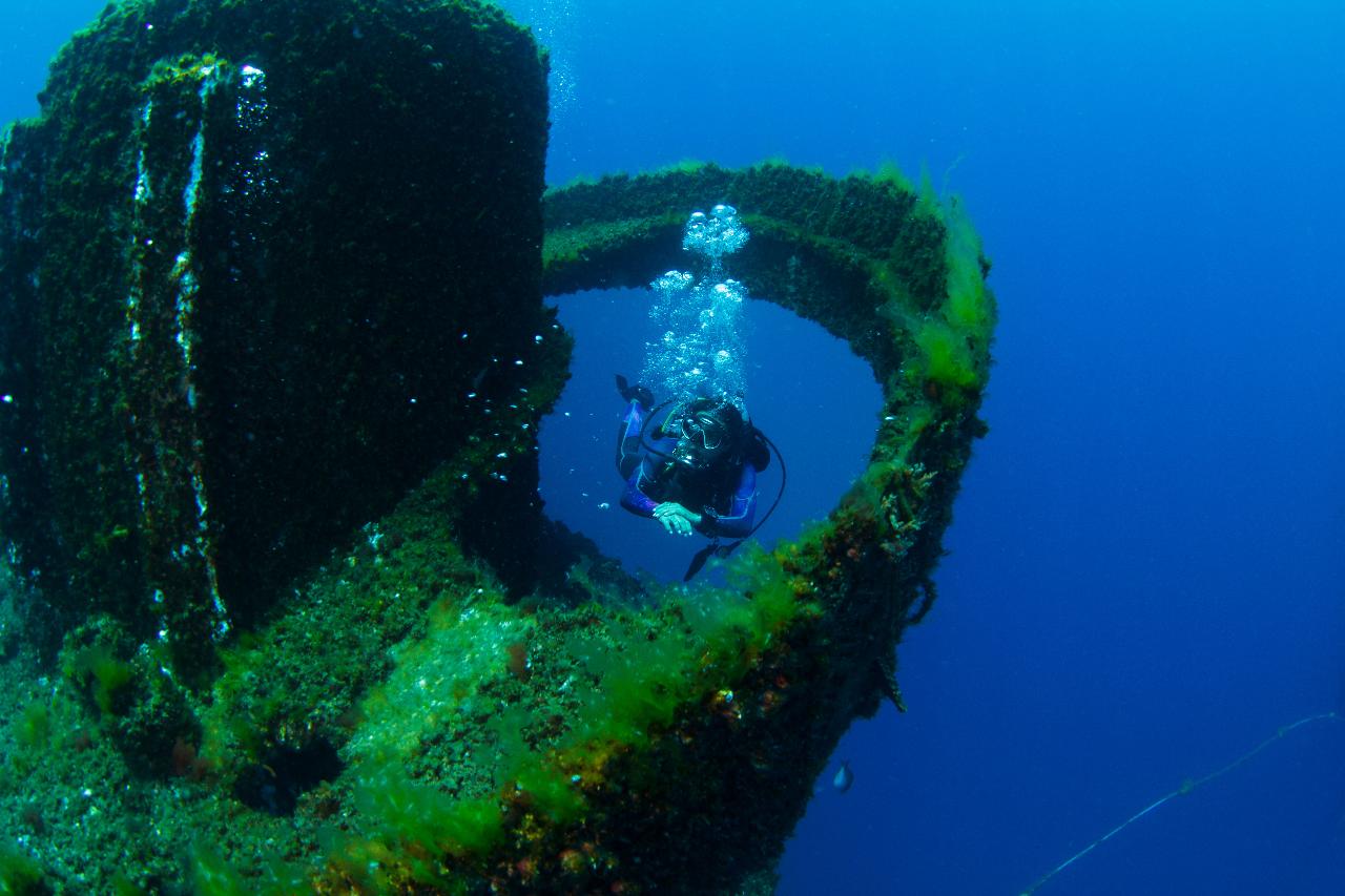 Wonders of the Gold Coast Double-Dive (Wonder Reef)