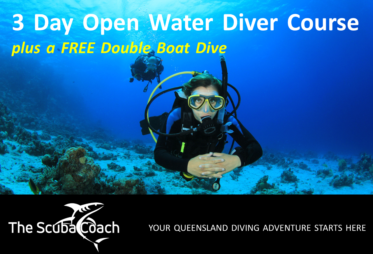 PADI Open Water Diver Course + FREE Double Dive | Gold Coast