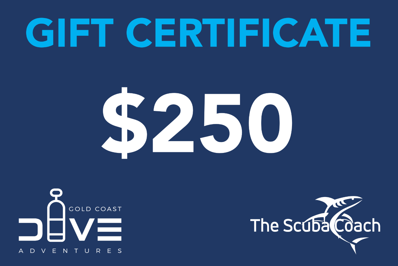 $250 Gift Certificate