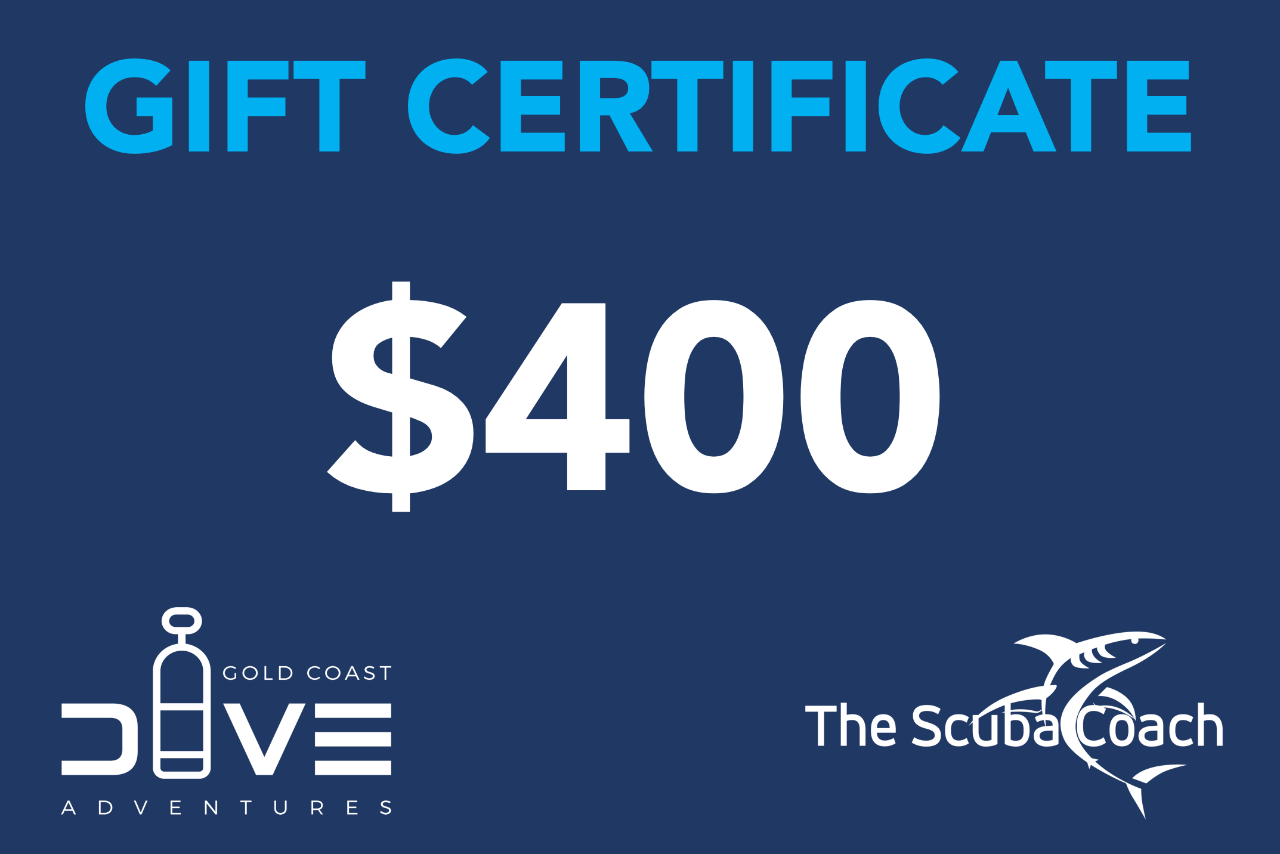 $400 Gift Certificate