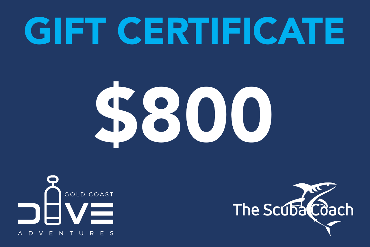 $800 Gift Certificate