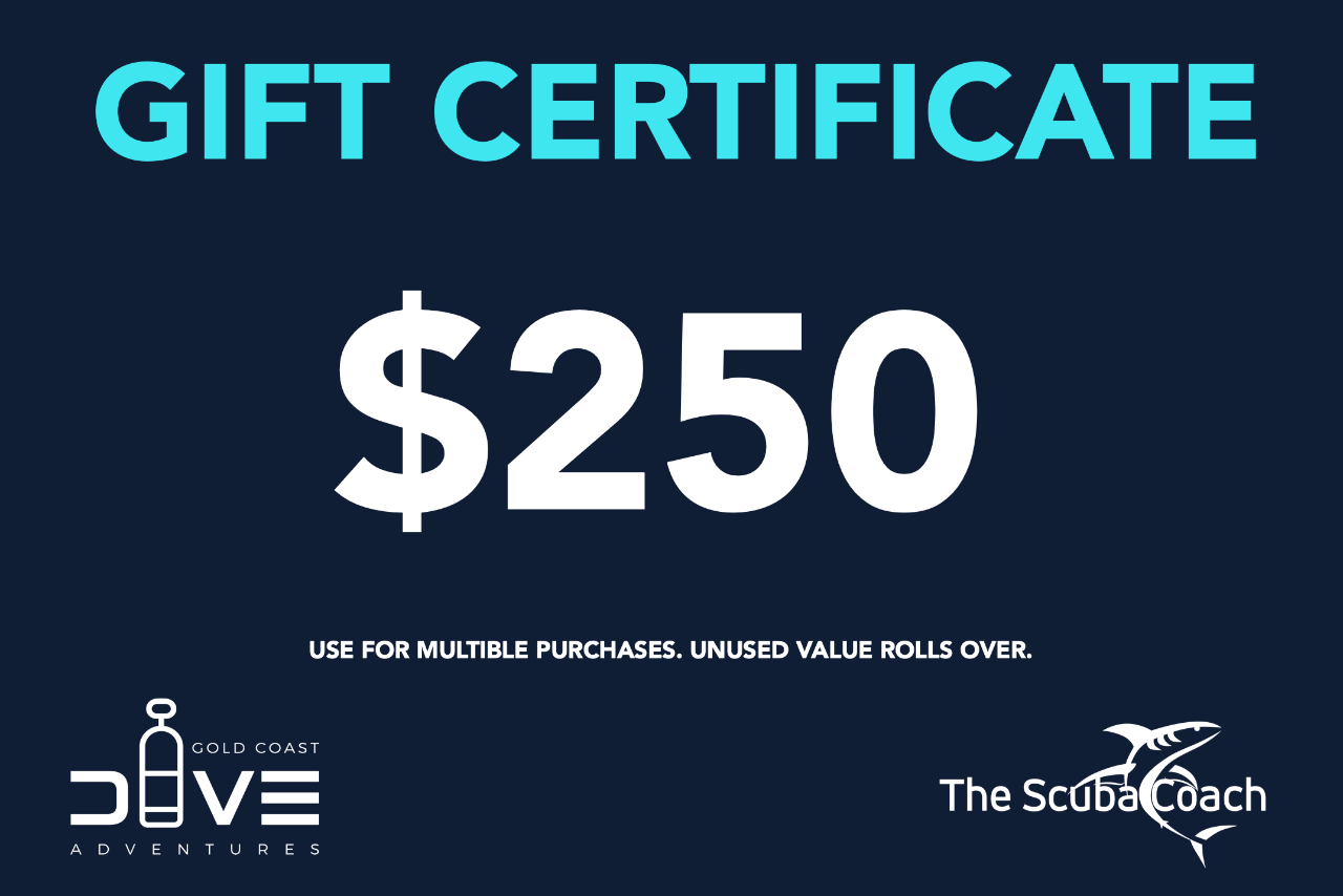 $250 Gift Certificate