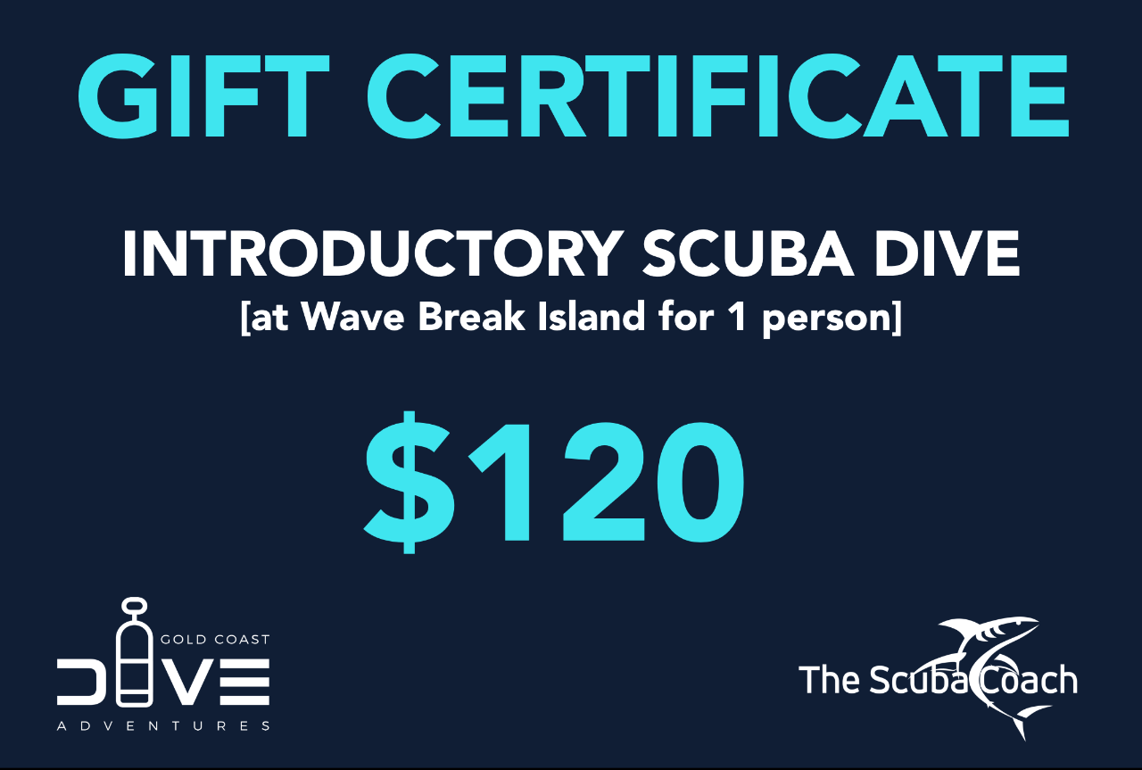 $120 Gift Certificate
