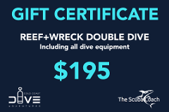 Gift Card for a Reef+Wreck Dive with full Gear Hire