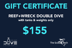 Gift Card for a Reef+Wreck Dive with Tanks & Weights