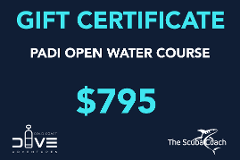 Gift Card for a PADI Open Water Diver+ Course