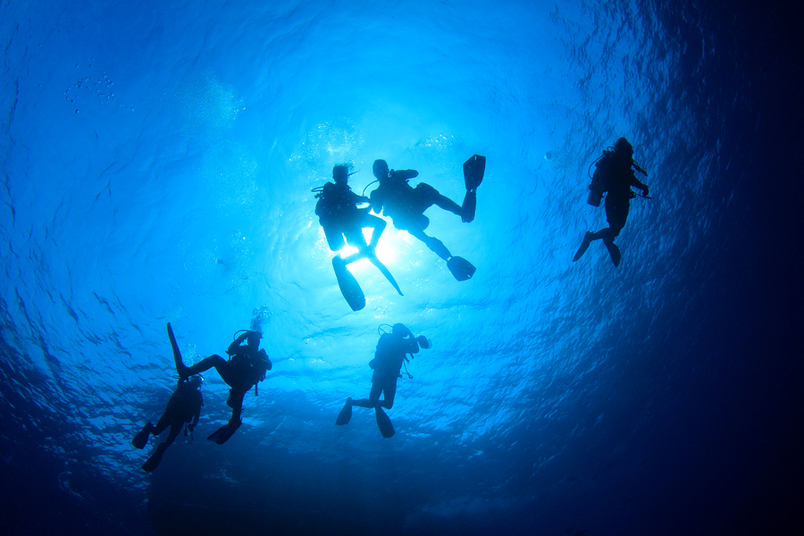 Cook Island Aquatic Reserve Double-Dive