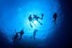 Cook Island Aquatic Reserve Double-Dive