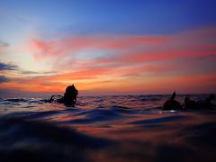 Night Dive Reef+Wreck Gold Coast