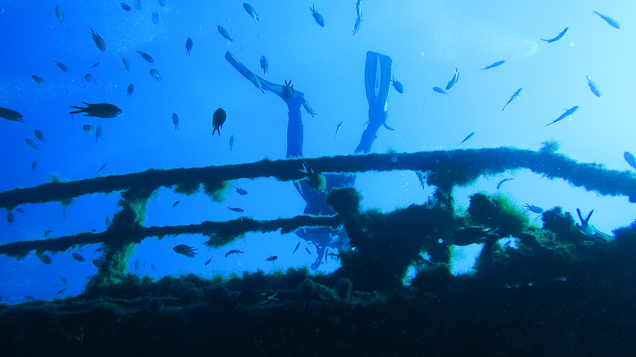Advanced Deep (40m) Double Dive Gold Coast