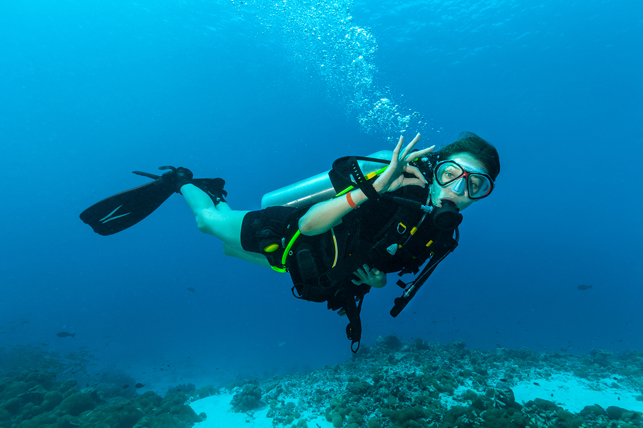 PADI Divemaster Internship