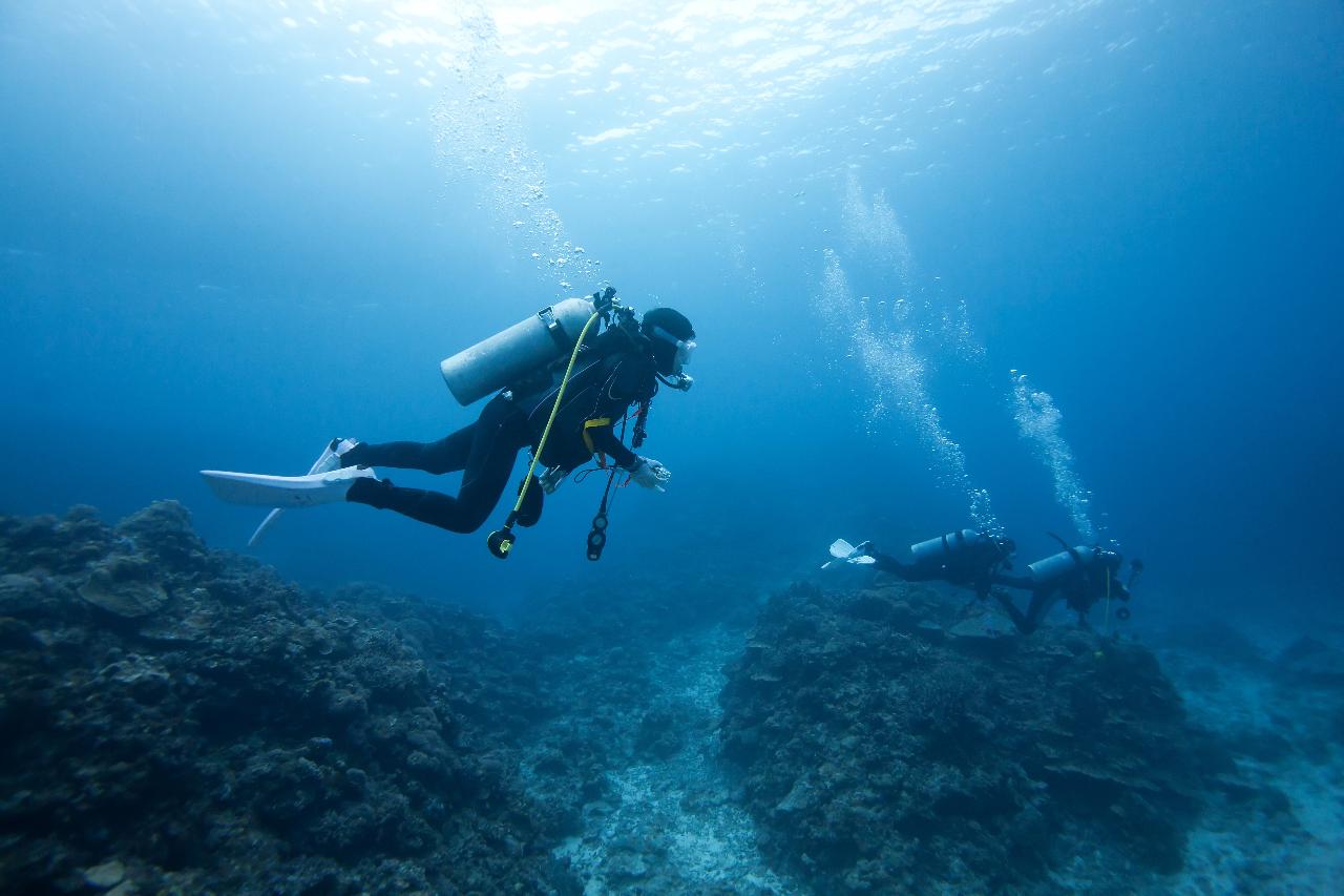 Advanced Double Dive Gold Coast