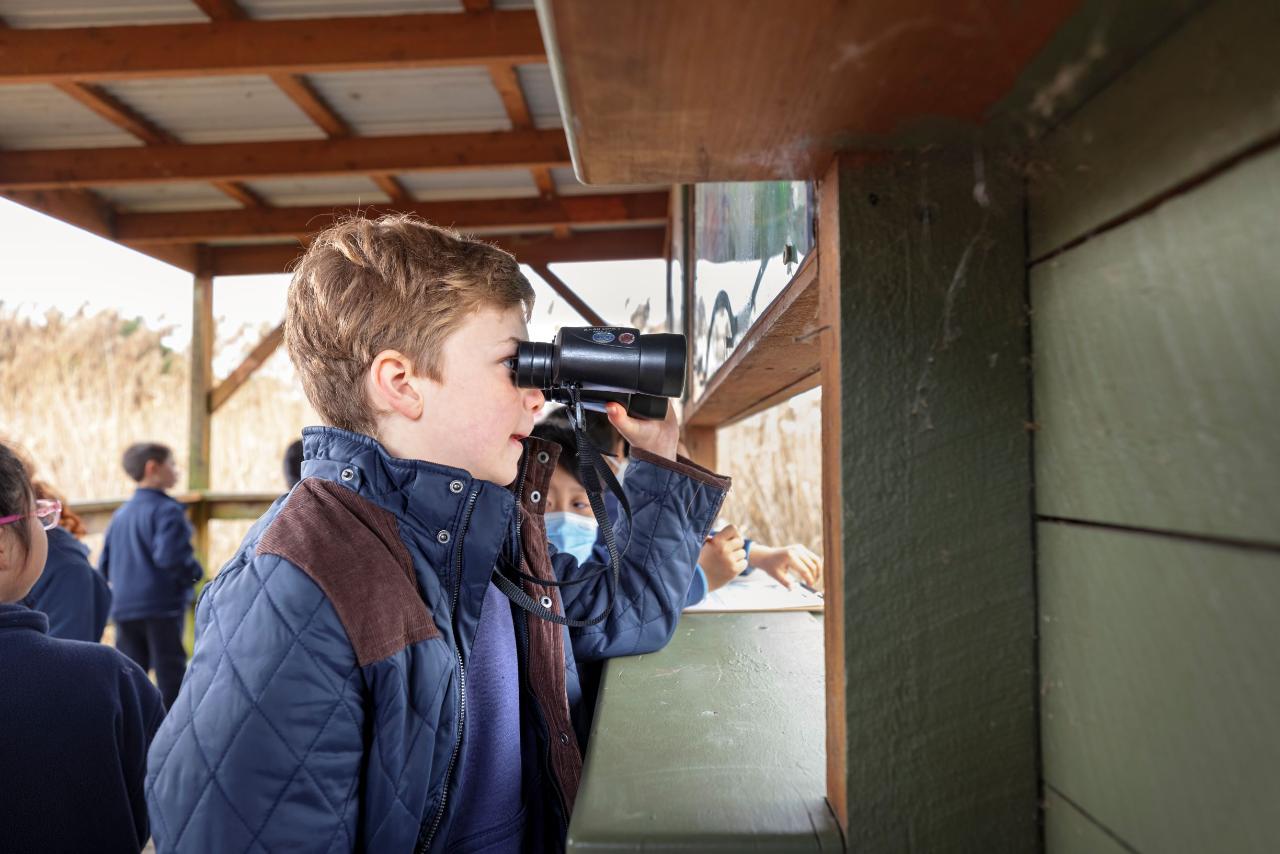 Edithvale-Seaford Wetlands adventure (Year 3/4)