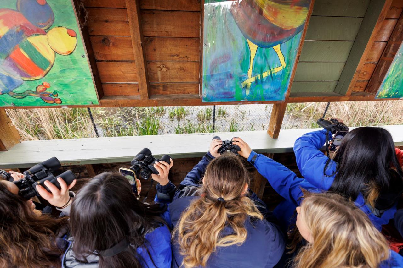 Edithvale-Seaford Wetlands: VCE excursions