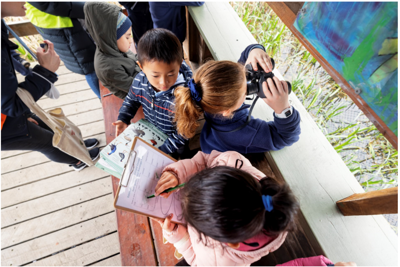 Edithvale-Seaford Wetlands explorer (Year 1/2)