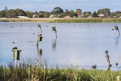 Environmental Science (VCE) - Edithvale-Seaford Wetlands