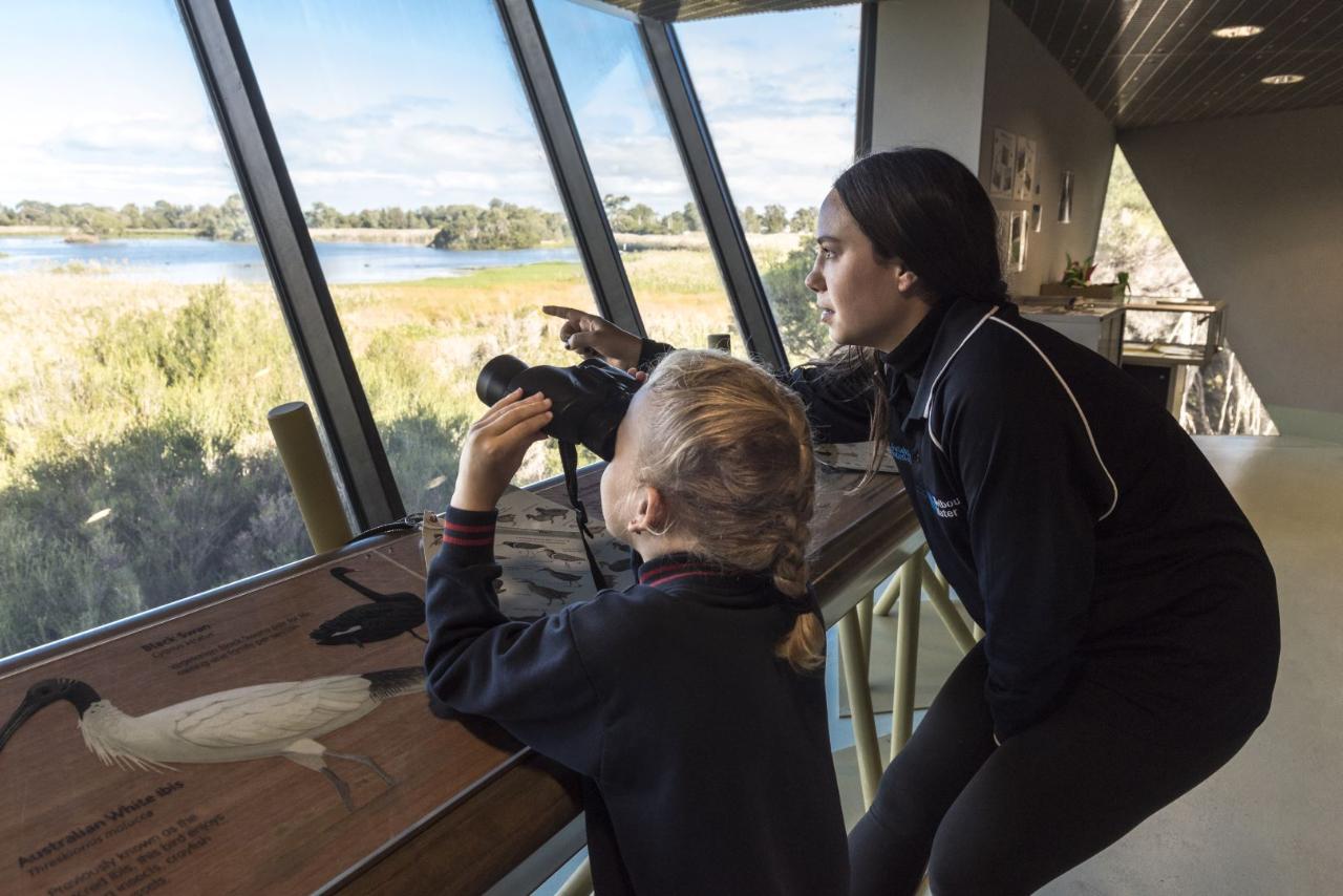 SPECIAL PREVIEW: Lauch of the new Edithvale-Seaford Wetlands F-4 Programs!