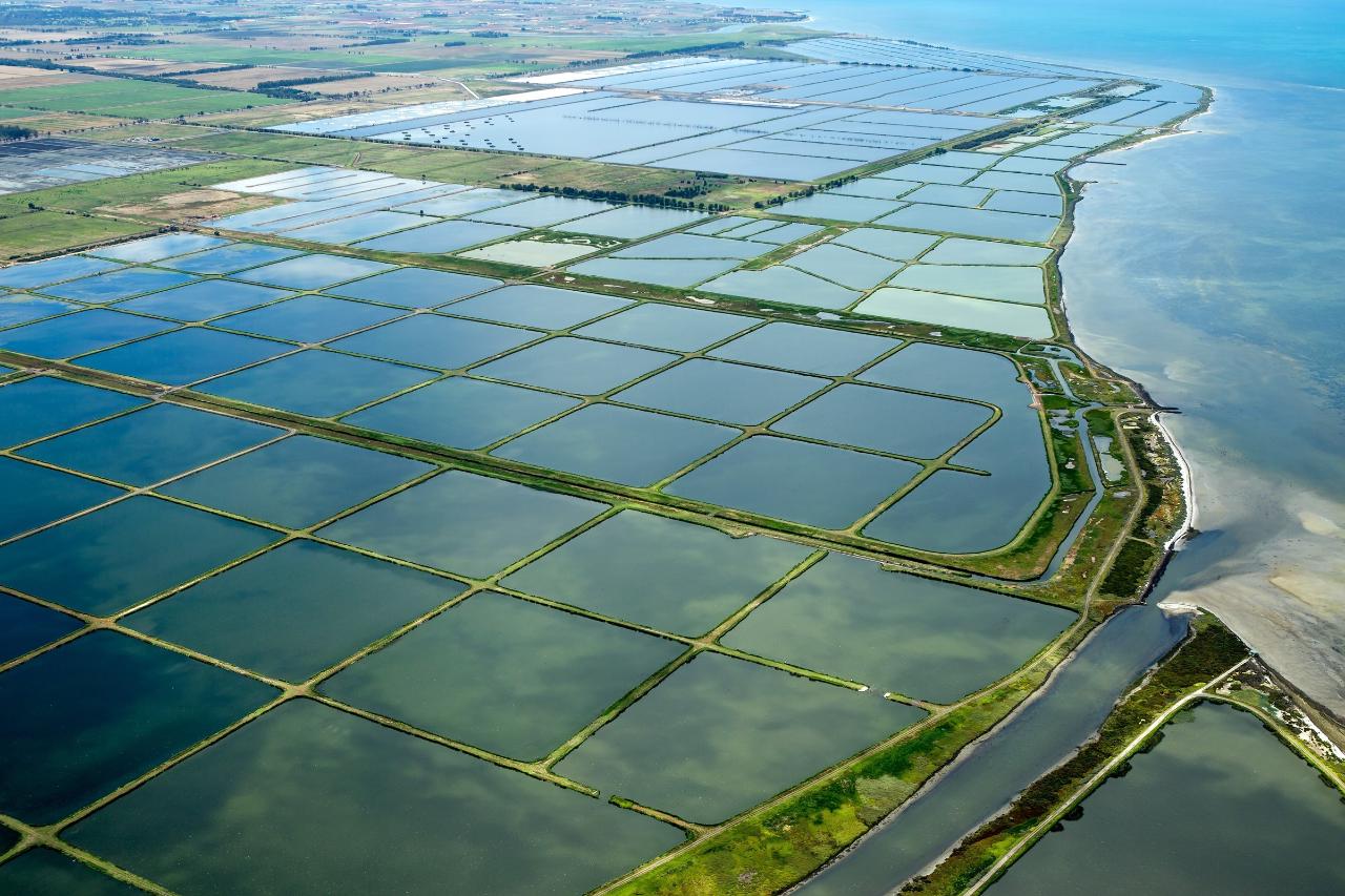 Western Treatment Plant: Tertiary & TAFE tours