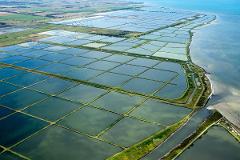 Western Treatment Plant: Tertiary & TAFE tours