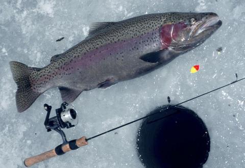 ICE FISHING TOUR (Western Experience)