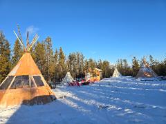 Aurora Viewing Experience at Arctic Aurora Camp