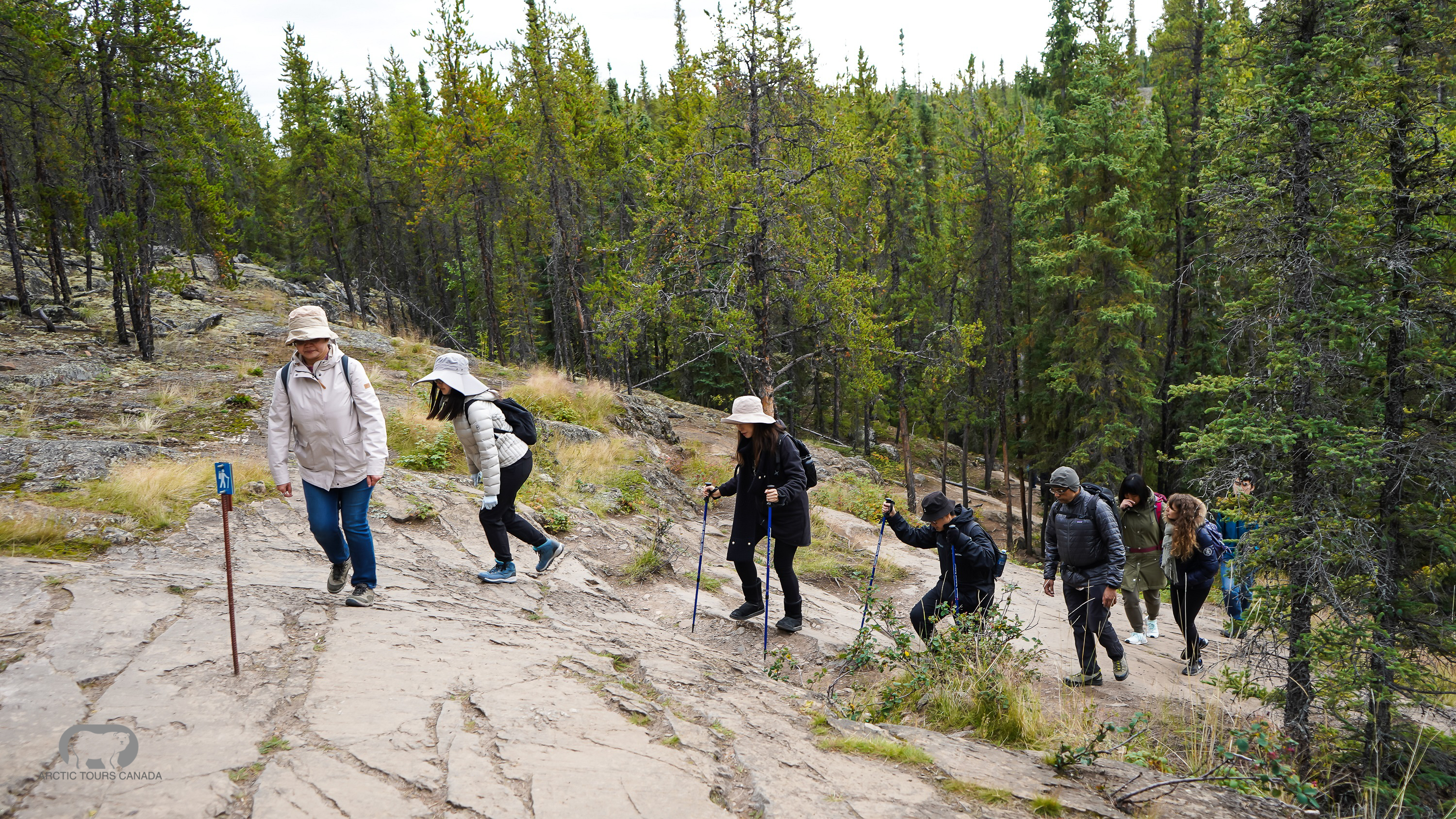Cameron Falls Nature Hiking Day Tour