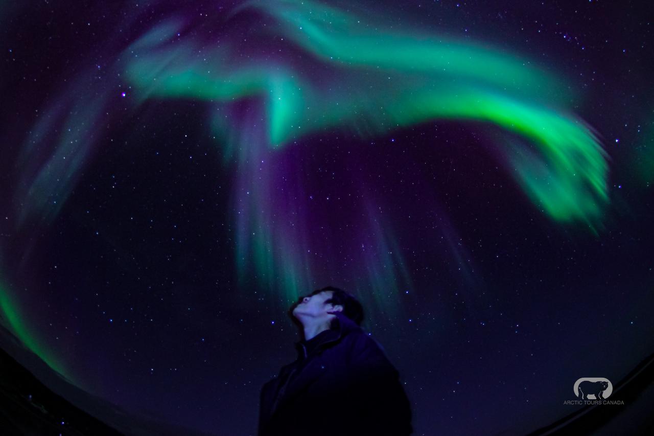 Yellowknife Aurora Hunting Tour Including 3-Nights Accommodation